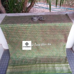 ซิ่นผ้าไหม กาบบัว ต่อตีนตวย(เย็บถุงแล้ว) ไหมแท้ ขนาด 113x200ซม. สีเขียวเหลือบน้ำตาลทอง รหัส WN-103-05276815