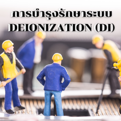 การบำรุงรักษาระบบ Deionization (DI)