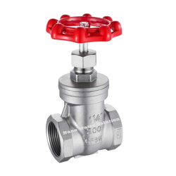 Gate Valve SS T-GV SFC