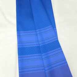 ซิ่น ผ้าไหม ยกดอกมีเชิง ไหมแท้ ขนาด 1x2หลา สีน้ำเงิน รหัส B7-ST-B7-143