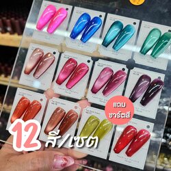 สีเจลเเคทอายเเฟลช สีเจลลูกเเก้วเซรามิก แบรนด์JIWA 12สี แถมชาร์ตสี