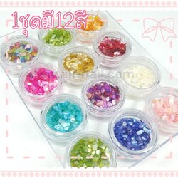 เปลือกหอย #1