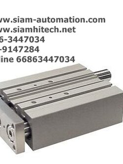 Cylinder SMC MGPM20-100Z