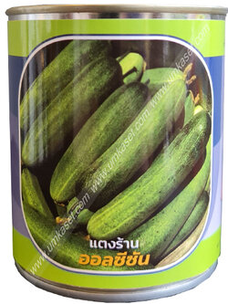 แตงร้านลูกผสม ออลซีซั่น ตราลูกโลก