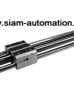 Cylinder CDY2510H-0900-F79L (มือหนึ่งและมือสอง)