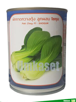 กวางตุ้งฮ่องเต้ลูกผสม โชกุน ตราลูกโลก 100 กรัม