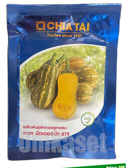 ฟักทอง เกรทบัตเตอร์นัท 879 เจียไต๋ 500 เมล็ด