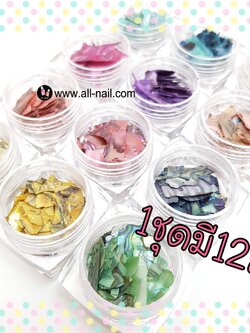 เปลือกหอย #2