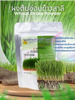 ผงต้นอ่อนข้าวสาลี (Wheat grass)