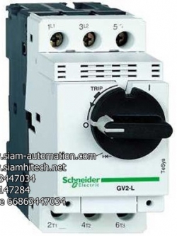 Schneider Telemecanique Magnetic motor circuit breaker GV2L14 (NEW)