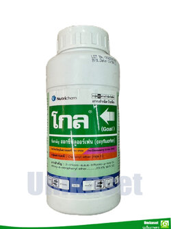 โกล/ โกล2อี ออกซีฟลูออร์เฟน (oxyfluorfen) ยาคุม และฆ่าหญ้าใช้ก่อนวัชพืชงอก เพื่อกำจัดวัชพืชใบแคบ /Nutrichem