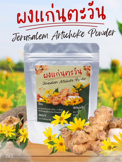 ผงแก่นตะวัน Jerusalem artichoke Organic