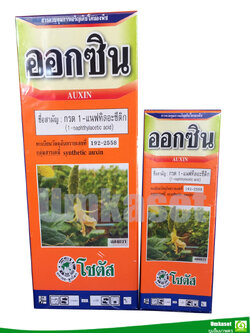 ออกซิน (Auxin)1-naphthylacetic acid 4.5% W/V SL (100cc. , 500cc.)/ โซตัส