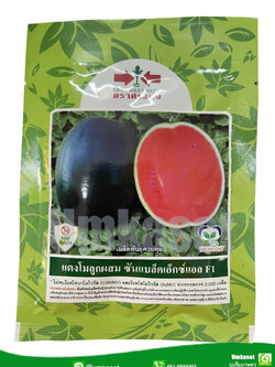 เมล็ดพันธุ์ แตงโม ซันแบล็คเอ็กซ์แอล (ขนาด 1000 เมล็ด) ตราศรแดง