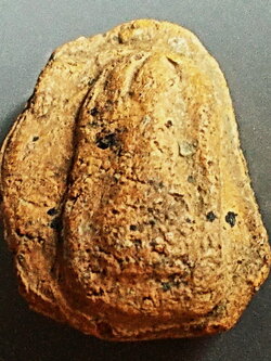 พระกรุวัดโปรดเกศ พิมพ์พระรอดสองหน้า