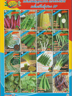 ผักซอง ตองสาม OP 161-176