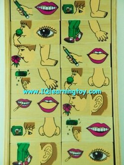 ของเล่นไม้ Domino- โดมิโนภาพอวัยวะต่างในร่างกาย จำนวน 28 ชิ้น พร้อมกล่องไม้จัดเก็บ ได้เรียนรู้ จดจำ เข้าใจความสัมพันธ์ของภาพ เรียงลำดับความคิด