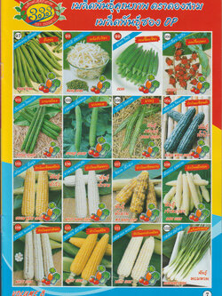 ผักซอง ตองสาม OP 97-112