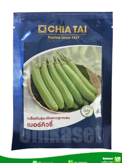 มะเขือยาวเขียว เมอร์คิวรี่ เจียไต๋ (20 กรัม)