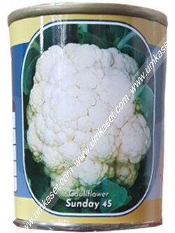 กะหล่ำดอก ซันเดย์45 ตราลูกโลก