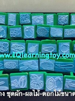 ตรายาง ชุดผัก-ผลไม้-ดอกไม้ ขนาด1นิ้ว ภาพคมชัด ด้ามจับถนัดมือ แข็งแรง ทนทาน คุ้มค่าจริงๆค่ะ ส่งฟรี