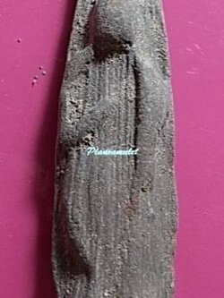 พระกรุวัดคู้บอน คลองสามวา กทม. ปางยืนประทานพร ลป.ทอง วัดราชโยธา ปลุกเสก