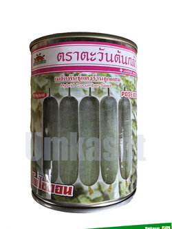 แตงร้านโพไซดอน ขนาด 100 กรัม ตะวันต้นกล้า 100 กรัม