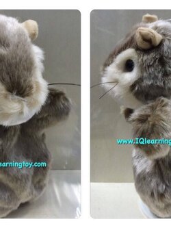 หุ่นมือหัวสัตว์รูปกระรอก ขนนุ่มมาก ใช้เป็นสื่อการสอนสำหรับเด็ก