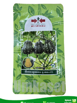 ฟักทอง ลูกผสม บัตเตอร์นัท ถุงทอง F1 ตราศรแดง (200เมล็ด)