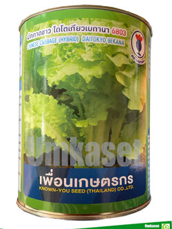 ผักกาดขาว ไดโตเกียวเบกานา 6803