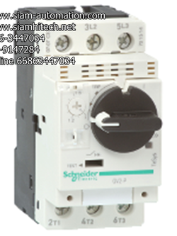 Schneider Telemecanique Thermal-Magnetic motor circuit breakers GV2P07 (New)