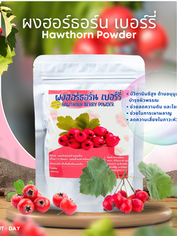 ผงฮอร์ธอร์นเบอร์รี่หรือซาจาง
