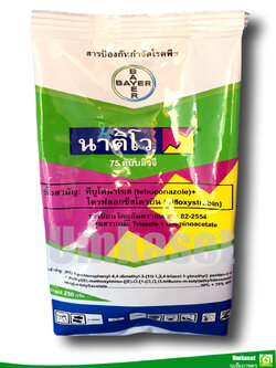 นาติโว 75ดับบลิวจี ทีบูโคนาโซล+ไตรฟลอกซีสโตรบิน(tebuconazole + trifloxystrobin)(ขนาด250กรัม)/ ไบเออร์