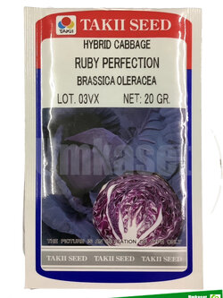กะหล่ำปลีม่วง รูบี้เพอร์เฟคชั่น 20 กรัม