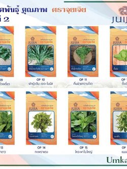 ผักซอง จุยเจีย ชุดที่2