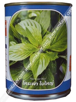 โหระพาใบใหญ่ ตราลูกโลก