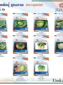 ผักซอง จุยเจีย ชุดที่ 9
