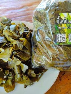 (พร้อมส่ง) ขี้เหล็กต้ม (ยอด + ใบอ่อน) 400 กรัม