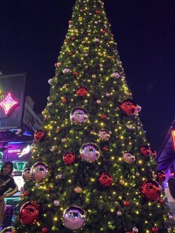 เช่าต้นคริสต์มาสยอดนิยม"ผู้ผลิตและส่งต่อ"