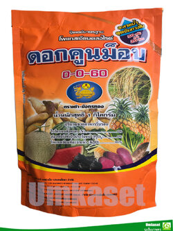 ปุ๋ยดอกคูณม็อบ 0-0-60 (ขนาด 1kg ) เร่งแป้ง เพิ่มความหวาน /ตราเต่ามังกร