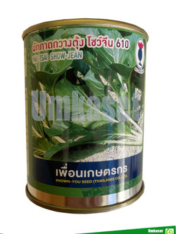 ผักกาดกวางตุ้ง โชว์จีน 610 100 กรัม