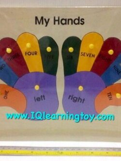 ภาพตัดต่อสอนเรื่องมือของฉัน สื่อแทนอวัยวะมือของฉัน สอนจำนวนนับนิ้วมือ และการเรียกชื่อมือทั้ง 2 ข้างให้ถูกต้อง