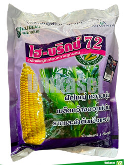 ข้าวโพดหวาน ไฮบริกซ์ 72 ( 1 กิโล)