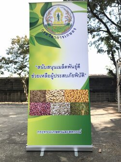 โรลอัพ Roll up ราคาถูก