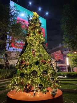 รวบรวมต้นคริสต์มาสปลอมมาขายในราคาถูก