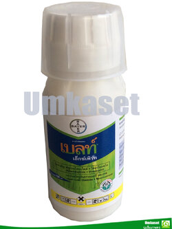 เบลท์ เอ็กซ์เพิร์ท ฟลูเบนไดอะไมด์ + ไทอะโคลพริด (flubendiamide + thiacloprid) (ขนาด 100ซีซี)/ Bayer