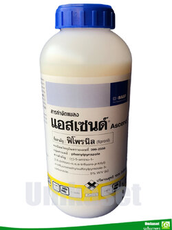 แอสเซนด์ ฟิโพรนิล ( ขนาด 1 ลิตร) สารกำจัดแมลง ปลวก หนอน เพลี้ย และไร/ BASF