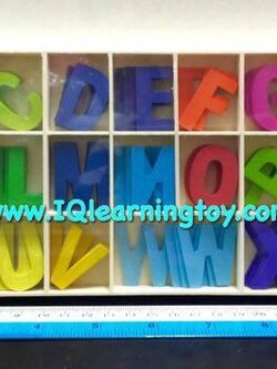 MT-The Moveable Alphabet L ตัวอักษรเคลื่อนที่ ABC ตัวพิมพ์ใหญ่ ขนาด 3 cm. ฝึกสมองของเด็กๆให้จดจำคำศัพท์เพิ่มได้ด้วยค่ะ ส่งฟรี