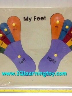 ภาพตัดต่อเรื่องเท้าของฉัน สอนให้เด็กๆรู้จักอวัยวะคือเท้า เรียนรู้จักจำนวนนับและการเรียกข้างอย่างถูกต้อง