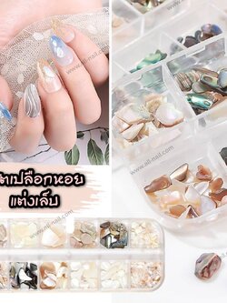 เปลือกหอยติดเล็บ เปลือกหอยตกแต่งเล็บ เกรดพรีเมี่ยม 1เซต/12แบบ